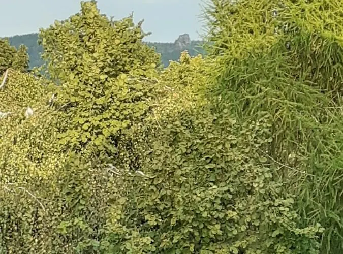 Rosentraum شقة كورورت أوبين